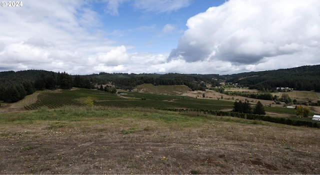 view of mountain feature featuring a rural view