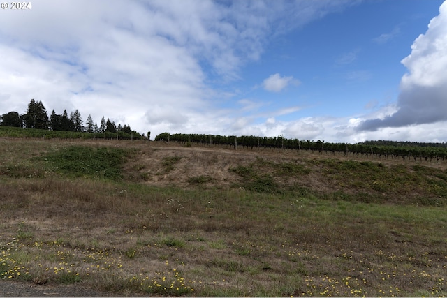 view of landscape featuring a rural view