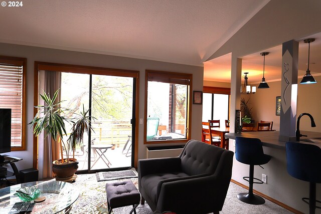 living room featuring lofted ceiling, carpet flooring, sink, and a textured ceiling