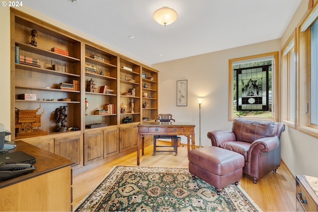 office featuring light wood-type flooring