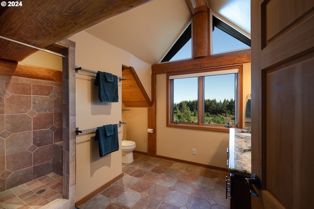 bathroom with vaulted ceiling, walk in shower, and toilet