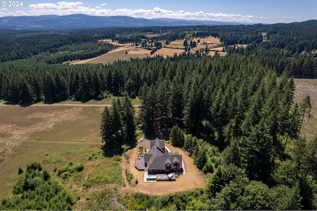 aerial view featuring a mountain view