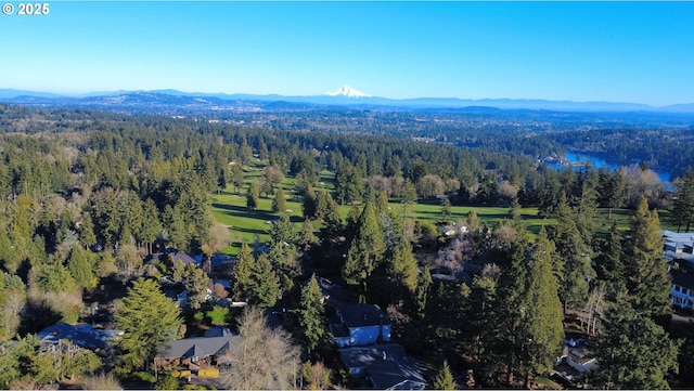 birds eye view of property featuring a mountain view and a wooded view