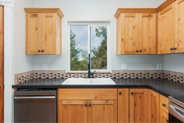 kitchen with stainless steel dishwasher, sink, tasteful backsplash, and plenty of natural light