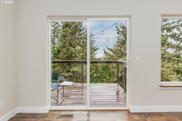 entryway featuring wood-type flooring