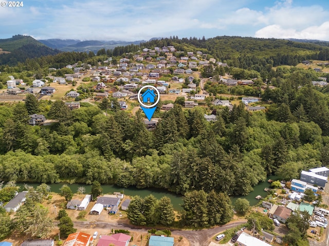 bird's eye view featuring a wooded view and a water and mountain view