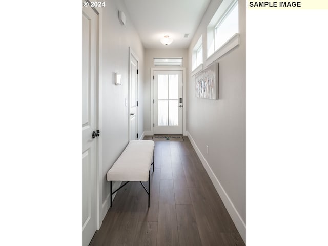 entryway featuring dark wood-type flooring