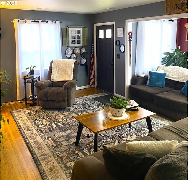 living room featuring wood-type flooring and a wealth of natural light