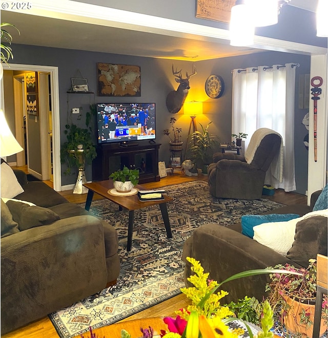 living room with hardwood / wood-style floors