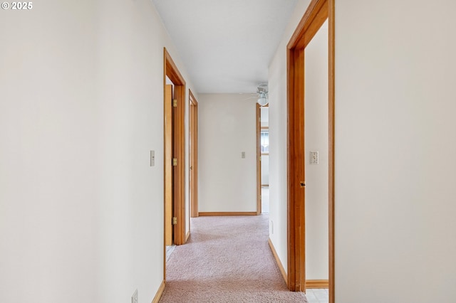 970 Kalmia St, Junction City, OR 97448 - corridor with light carpet and baseboards