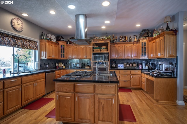 kitchen with light hardwood / wood-style flooring, stainless steel appliances, sink, and a kitchen island with sink