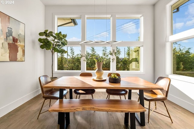 dining space featuring light hardwood / wood-style floors