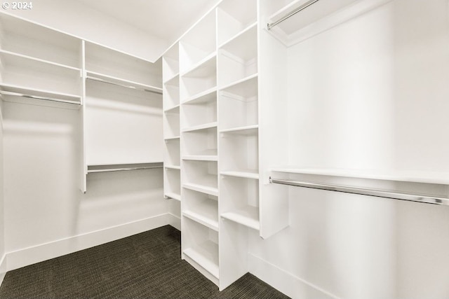 walk in closet featuring dark colored carpet