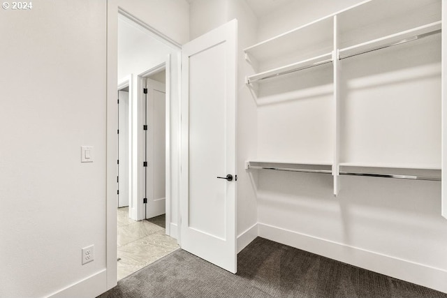 spacious closet featuring light colored carpet