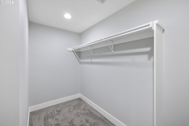 walk in closet featuring carpet flooring