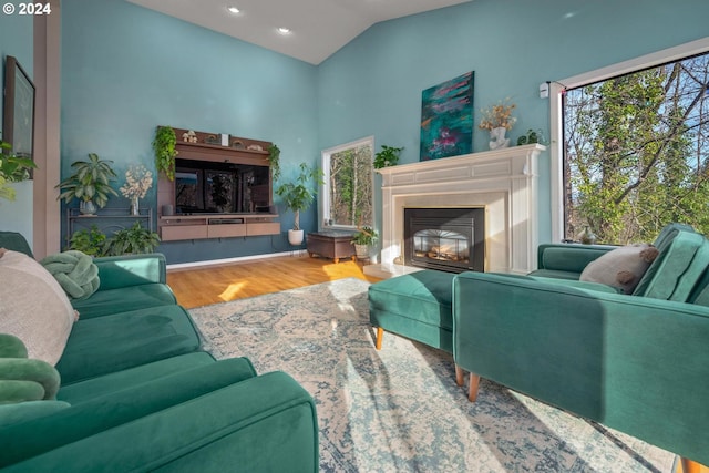 living room with hardwood / wood-style flooring and lofted ceiling