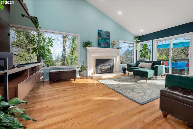 living room featuring light wood-type flooring, high vaulted ceiling, and a healthy amount of sunlight