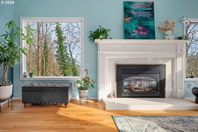 living area featuring wood-type flooring and a fireplace