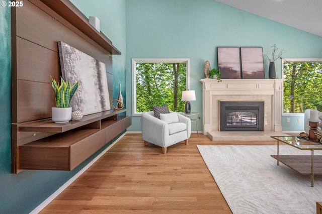 sitting room featuring a healthy amount of sunlight, high vaulted ceiling, and wood finished floors