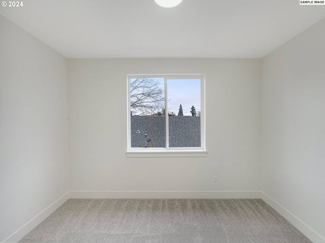 unfurnished room featuring carpet floors