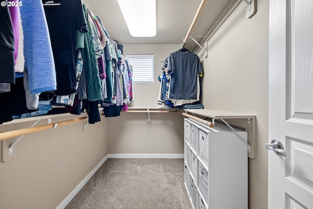 walk in closet featuring light carpet