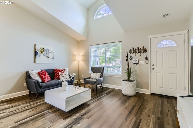 interior space featuring high vaulted ceiling and dark hardwood / wood-style floors