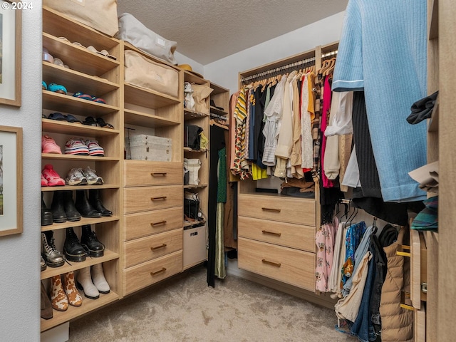 spacious closet with light carpet