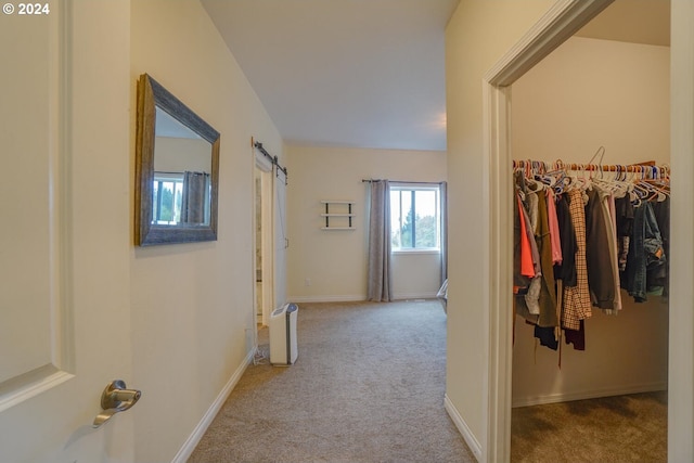 hall featuring light colored carpet and a barn door