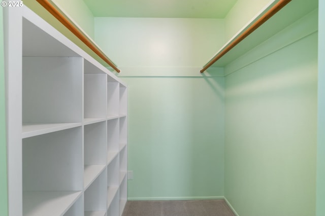 spacious closet featuring carpet flooring