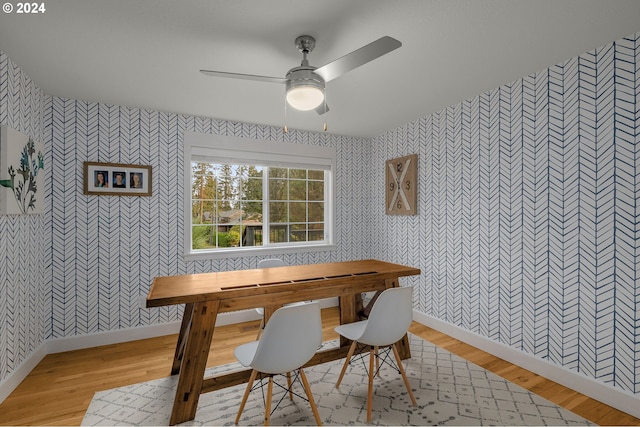 dining room with ceiling fan and light hardwood / wood-style floors