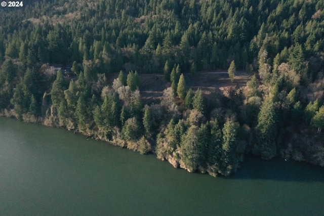 10 Edge Water Dr, Cathlamet, WA 98612