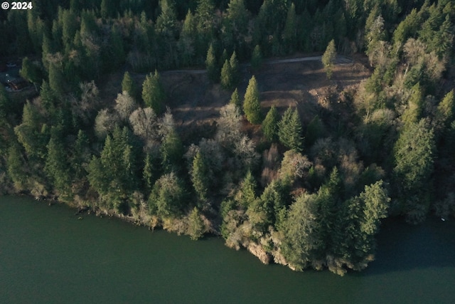 10 Edge Water Dr, Cathlamet, WA 98612
