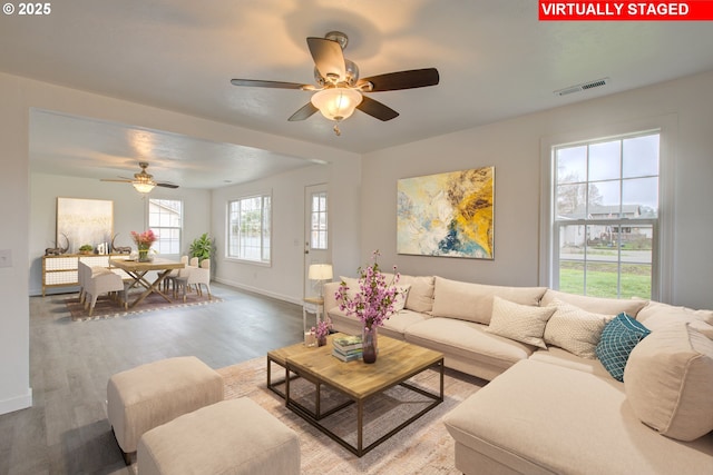 living room with ceiling fan and hardwood / wood-style floors