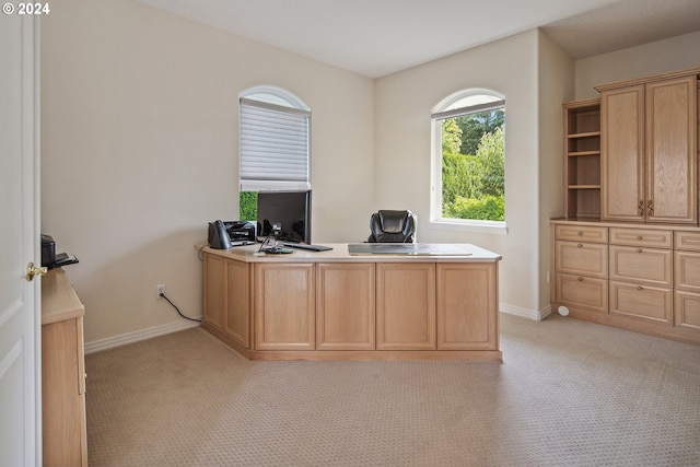 home office featuring light carpet