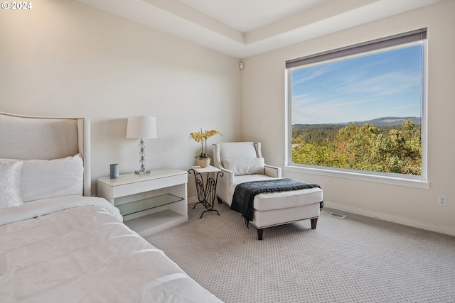 carpeted bedroom with multiple windows