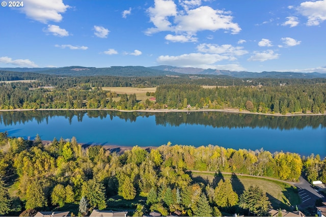 bird's eye view featuring a water and mountain view