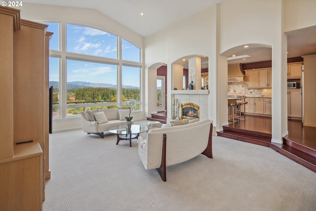 dining area with a chandelier, plenty of natural light, and dark hardwood / wood-style floors