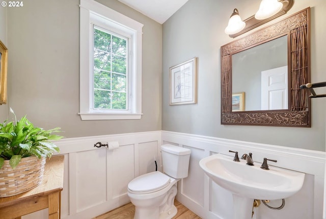 bathroom with toilet, wood-type flooring, and sink