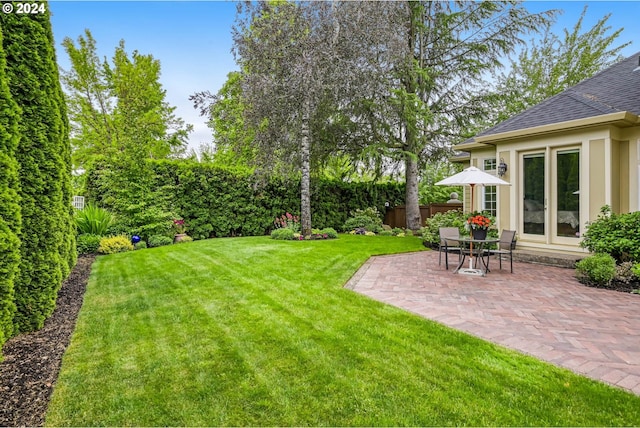 view of yard featuring a patio