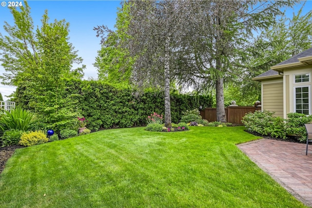 view of yard with a patio area