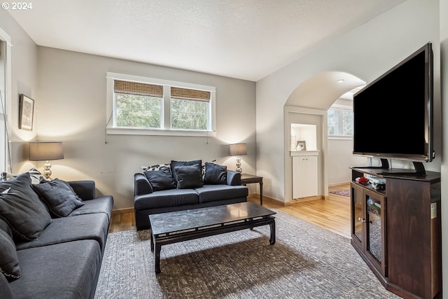 living room with light hardwood / wood-style floors and a healthy amount of sunlight