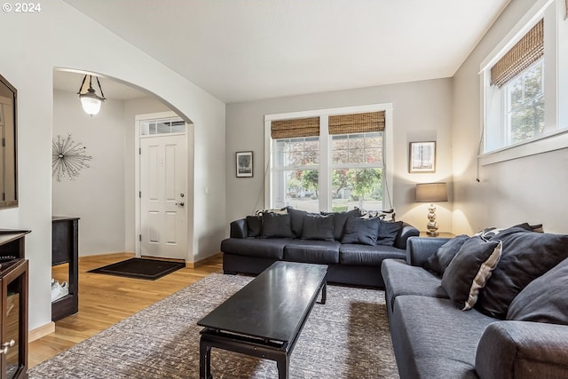 living room with a wealth of natural light and light hardwood / wood-style flooring