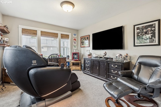 living room with light carpet