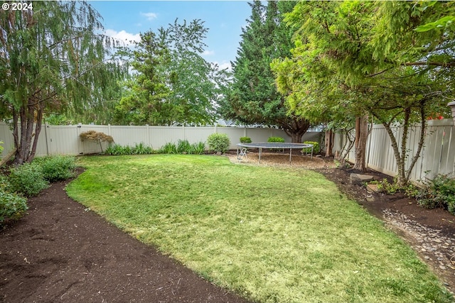 view of yard with a trampoline