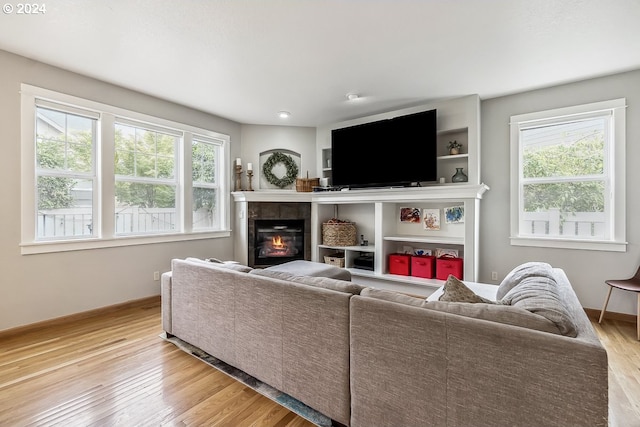 living room with light hardwood / wood-style floors, a healthy amount of sunlight, and a fireplace