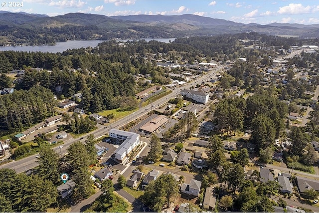 birds eye view of property with a water and mountain view