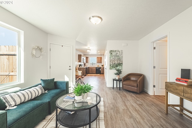 living room featuring light hardwood / wood-style flooring and a healthy amount of sunlight