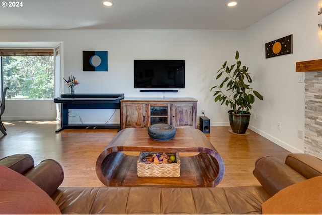 living room with hardwood / wood-style flooring