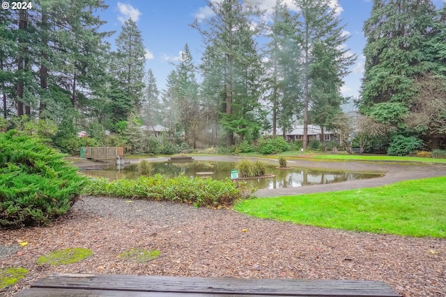 surrounding community featuring a water view