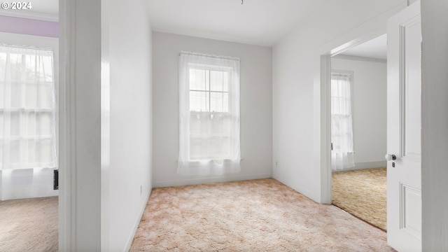 hallway featuring light colored carpet and ornamental molding